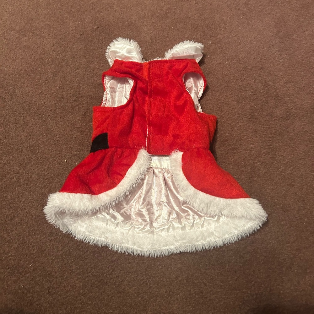 Red Santa Dog Dress with White Trim - Picture 11 of 15